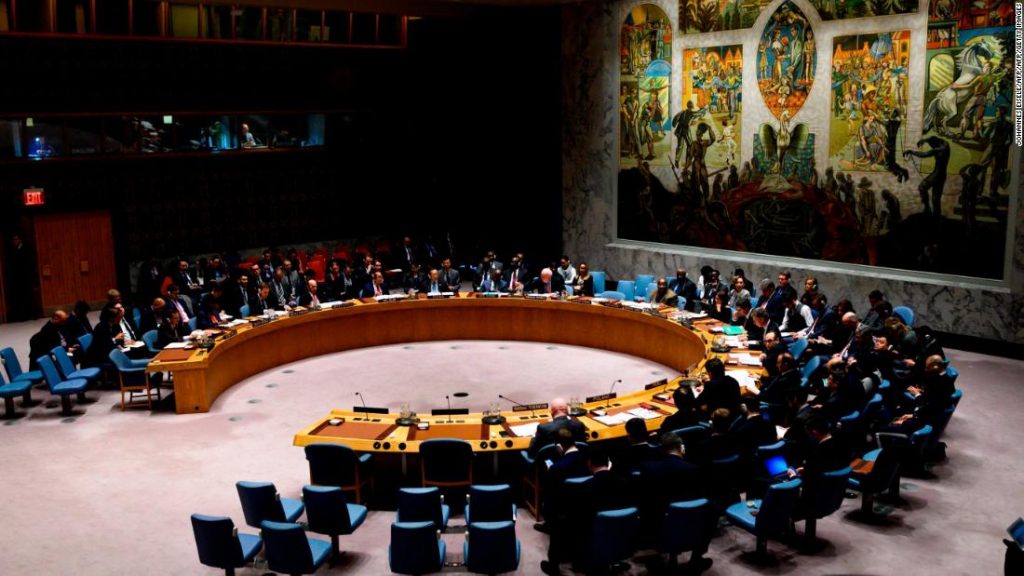 UN Security Council Minimizes Need for Reproductive Rights in Policy