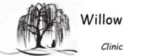 Willow Clinic Logo